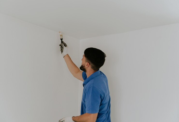 professional-interior-painter