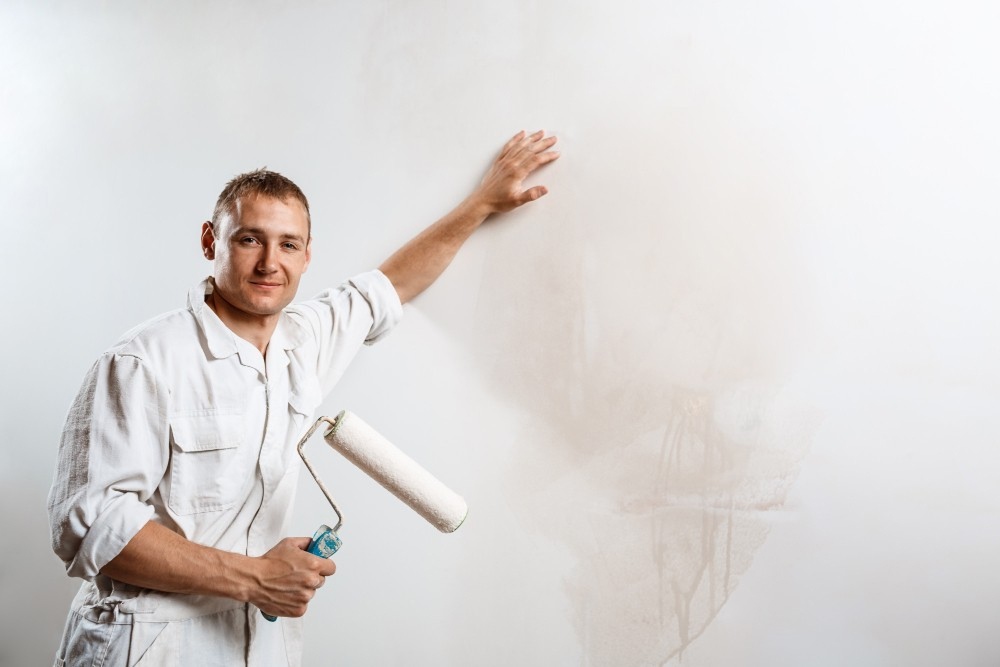Profesional painter